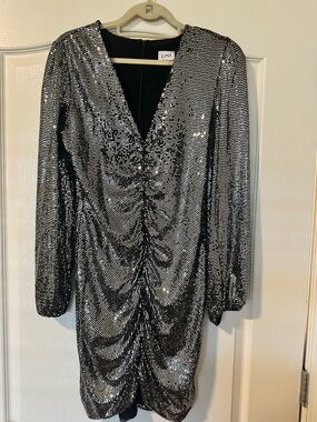 LINI Silver Sequin Long Sleeve Ruched V-Neck Dress